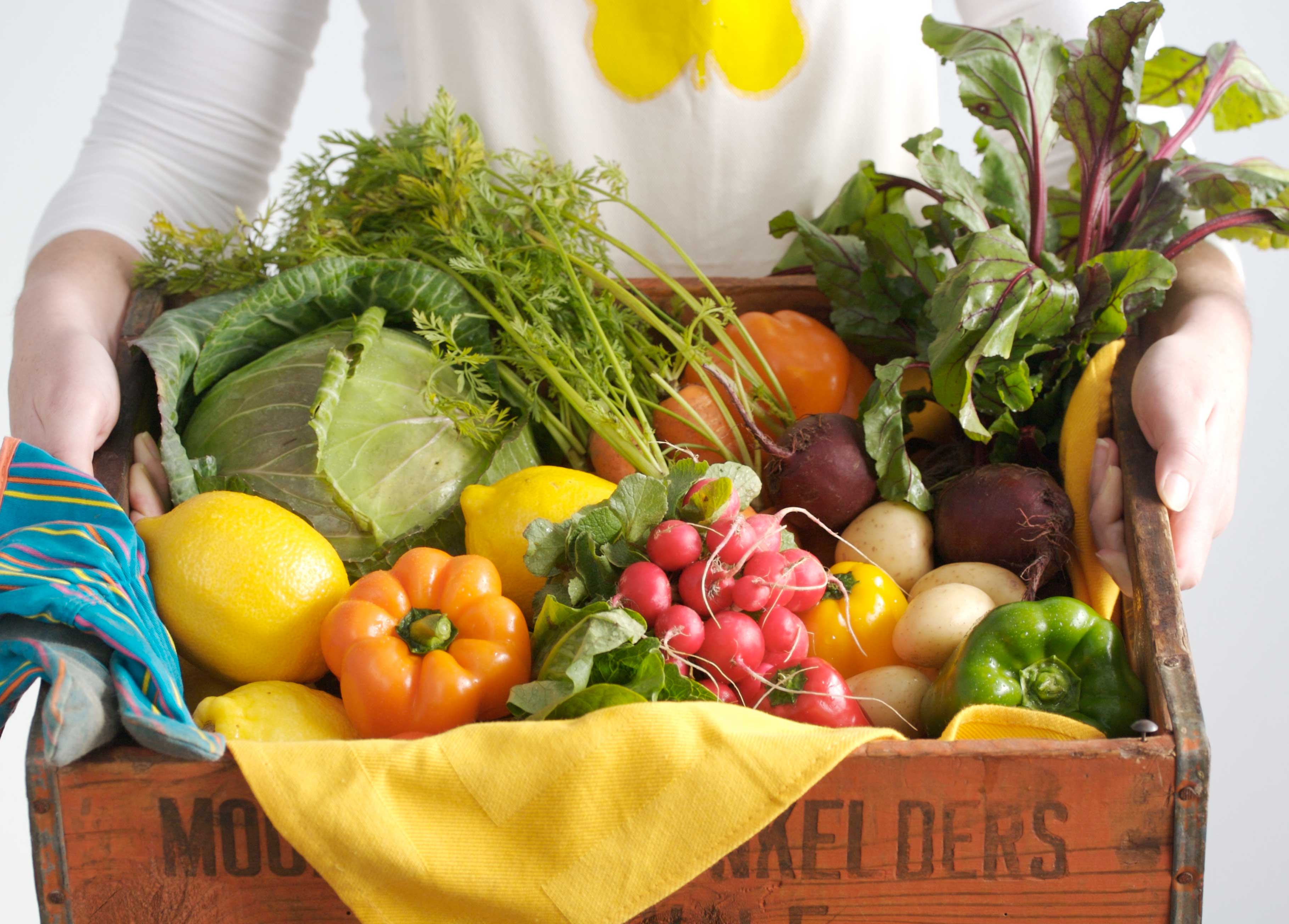 Purés de verduras para cenar