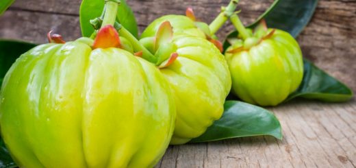 Garcinia cambogia