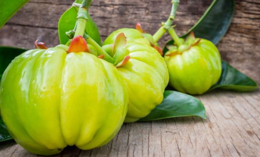 Garcinia cambogia