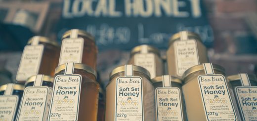 curarsi con il miele